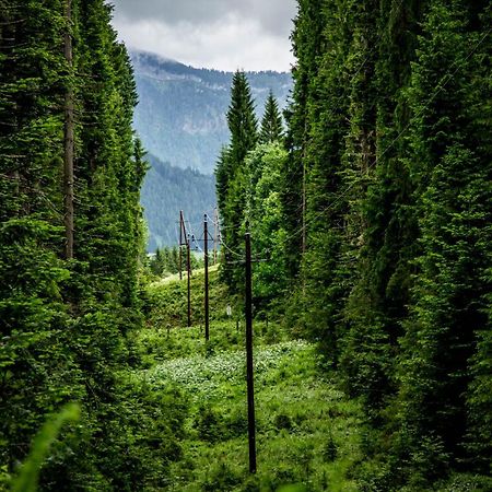 Gluexplatzl Appartements Am Wald Sankt Martin am Tennengebirge Buitenkant foto